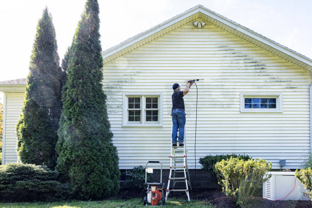 Best Roof Power Washing Services  in Forestde, AL